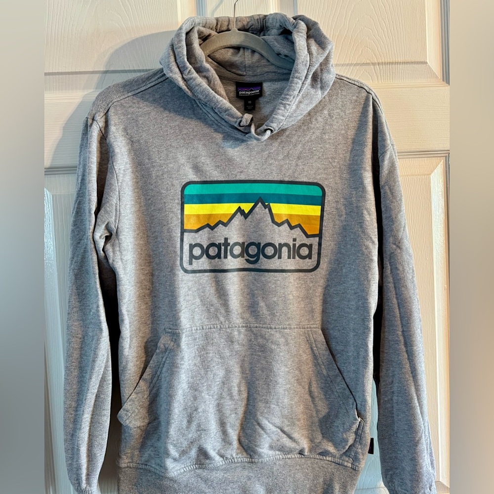 Patagonia Hoodie Heathered Gray XS